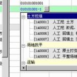 青山清单之星 西藏版-时代软件