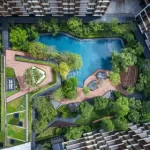 易达园林绿化软件 6.0-时代软件