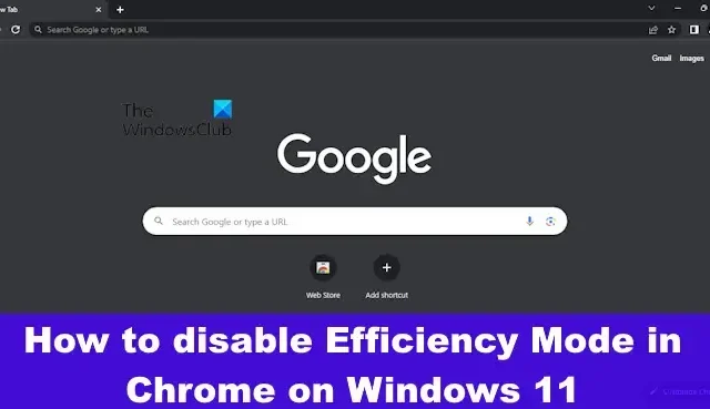 如何在 Windows 11 上的 Chrome 中禁用效率模式